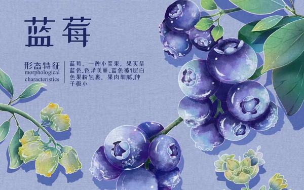 植物海報