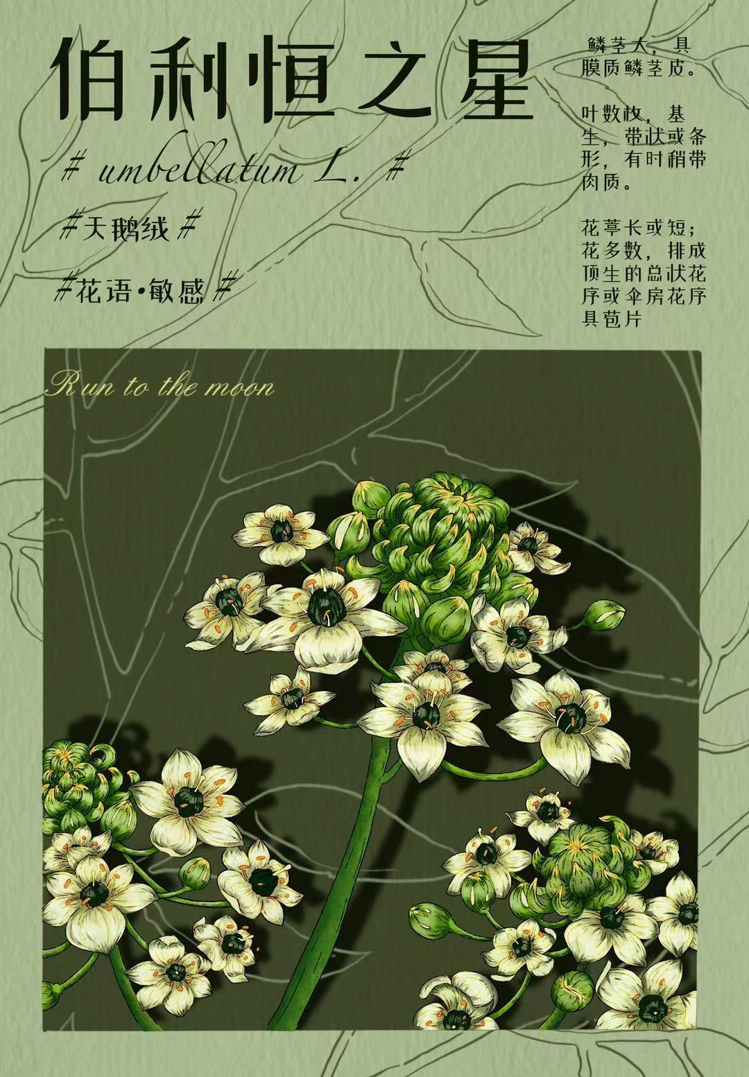 植物海报图3