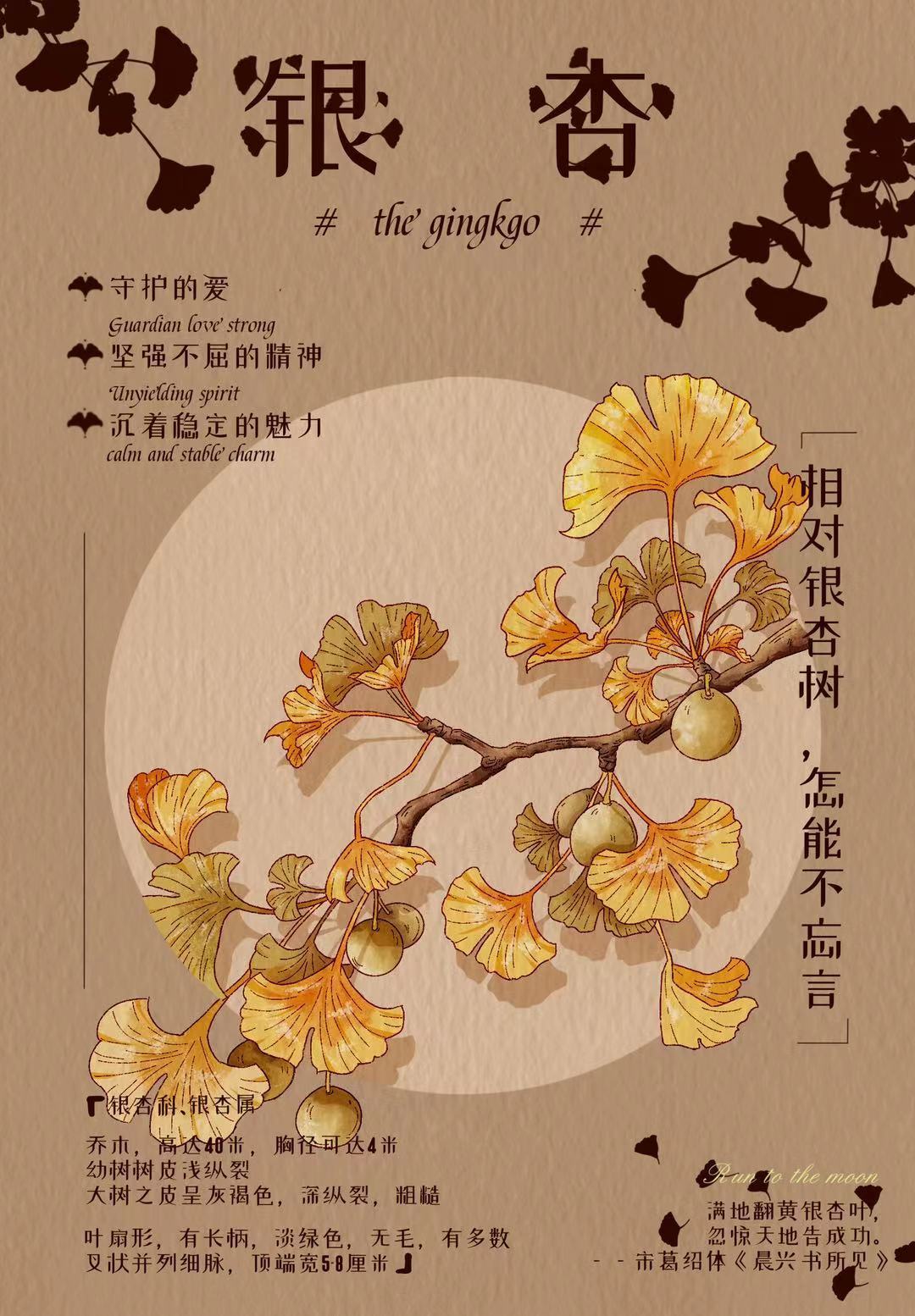 植物海报图2