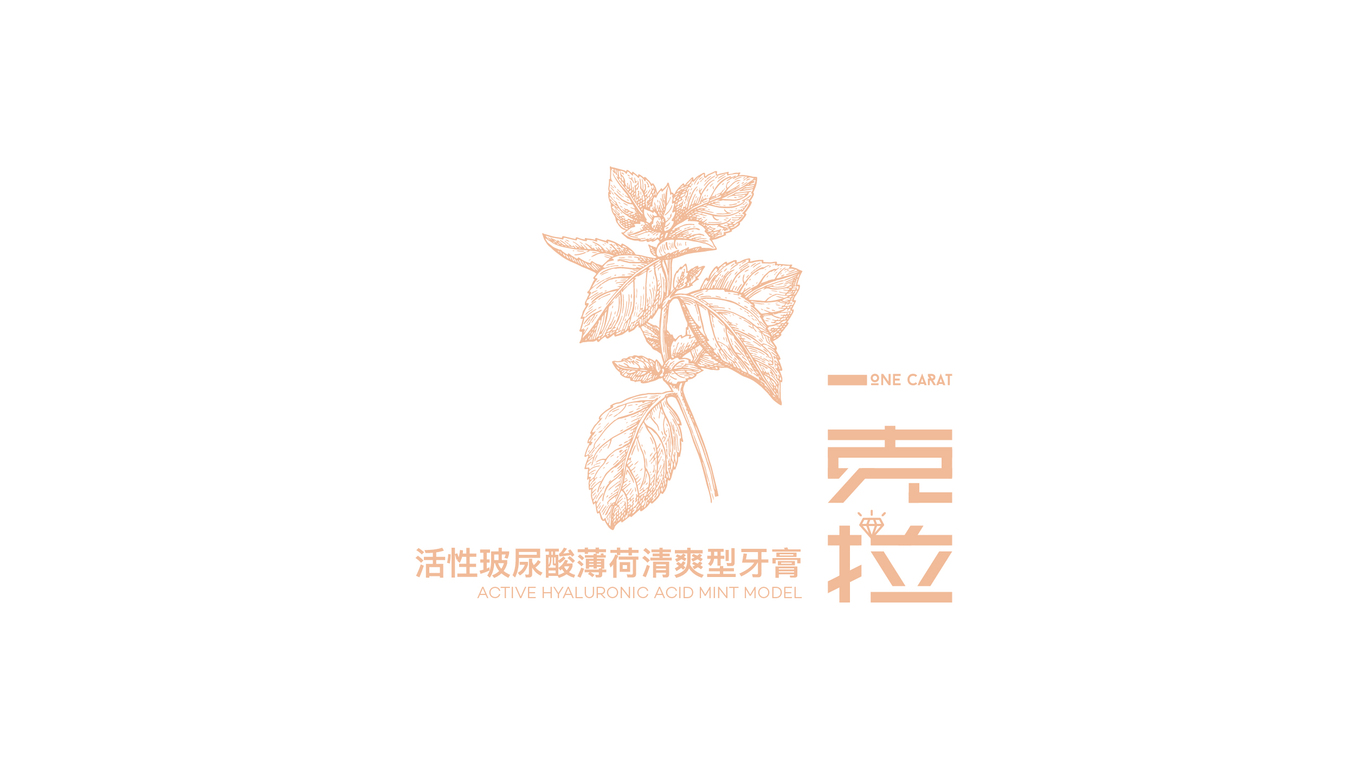 一克拉創(chuàng)意牙膏品牌包裝設計圖1