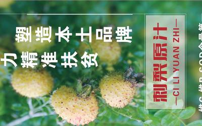展架