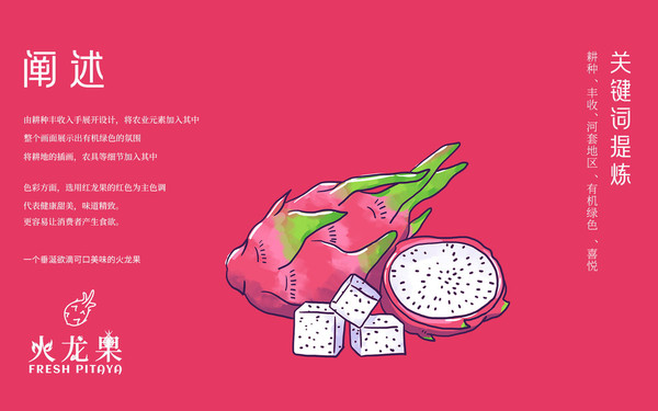 火龍果水果食品包裝包裝設(shè)計案例