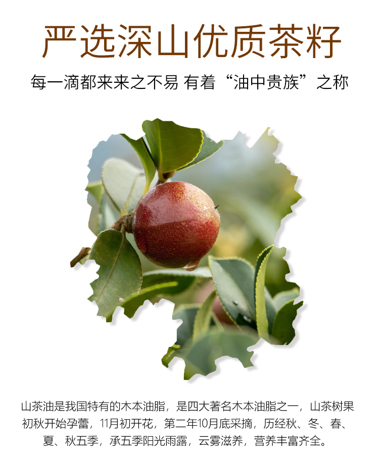 茶油详情页图1