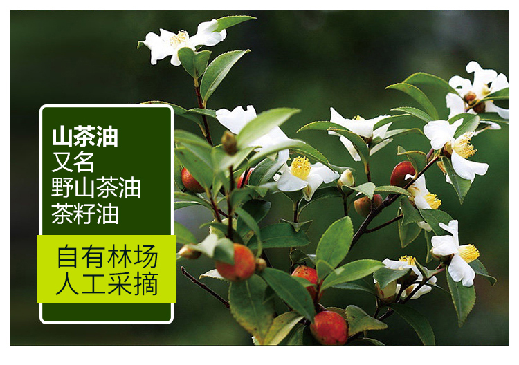 茶油详情页图2