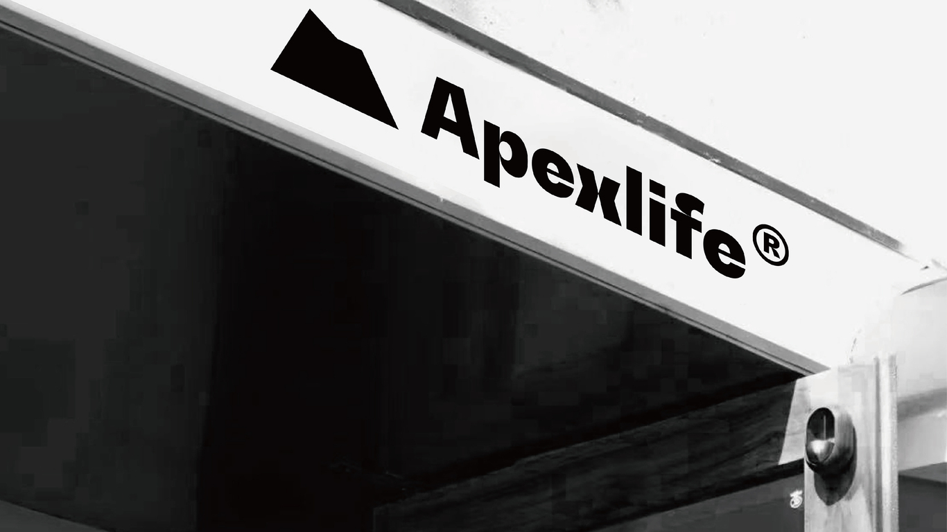 Apexlife?日本潮牌服飾品牌形象設(shè)計圖24