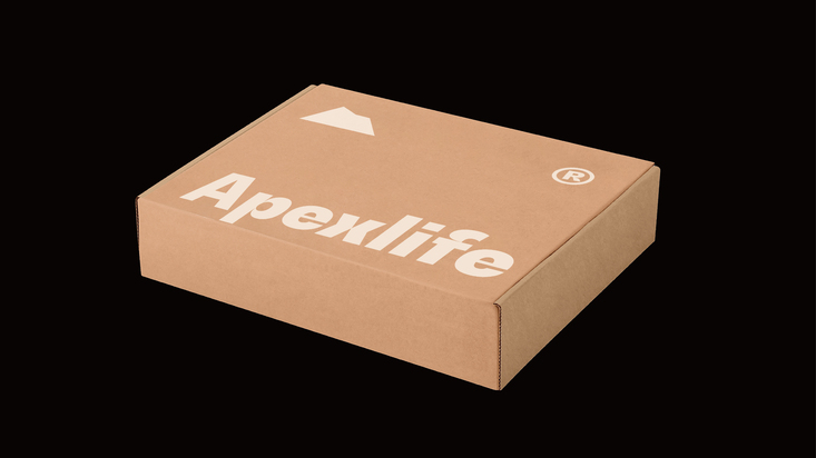 Apexlife?日本潮牌服飾品牌形象設(shè)計(jì)圖11