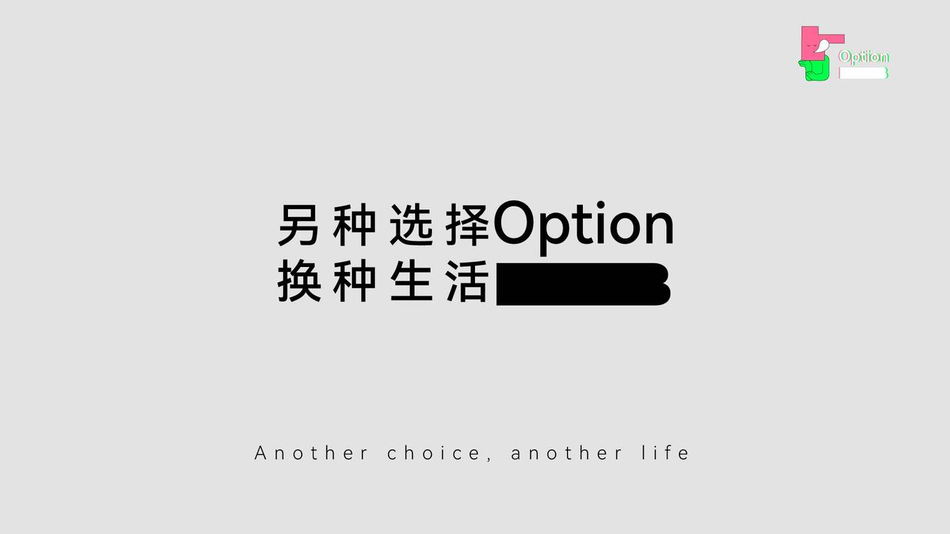 Option B視覺圖2