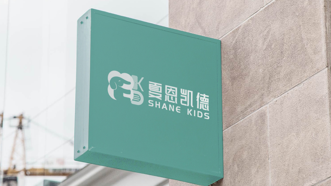 SHANE KIDS儿童双语教育品牌LOGO设计图9