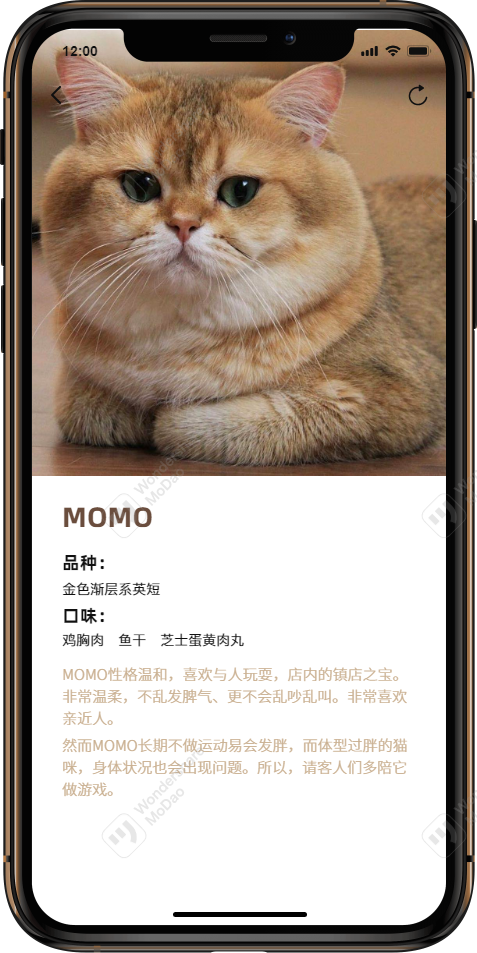 MOMO貓咖app圖14