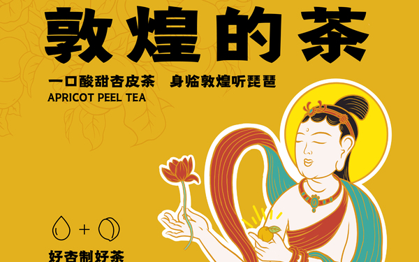 敦飛煌杏皮茶包裝設(shè)計(jì)