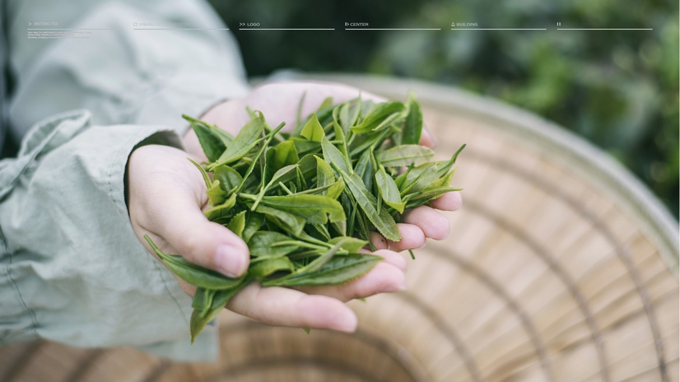 鑫桐茶叶图0