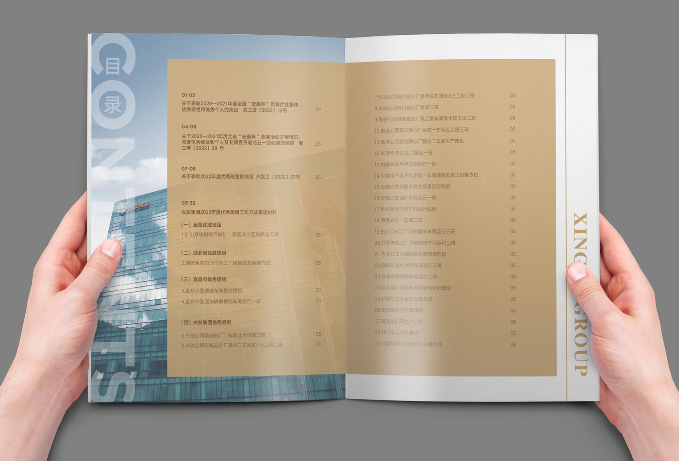化工企業(yè)品牌年度榮譽(yù)畫(huà)冊圖5