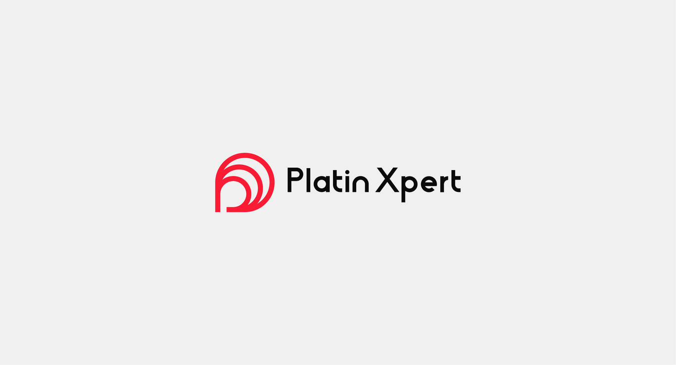 Platin xpert圖1