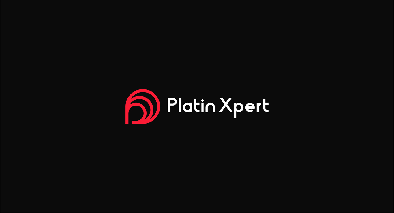 Platin xpert圖0