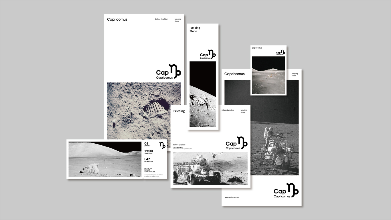 CAPRICORNUS BRAND DESIGN图4