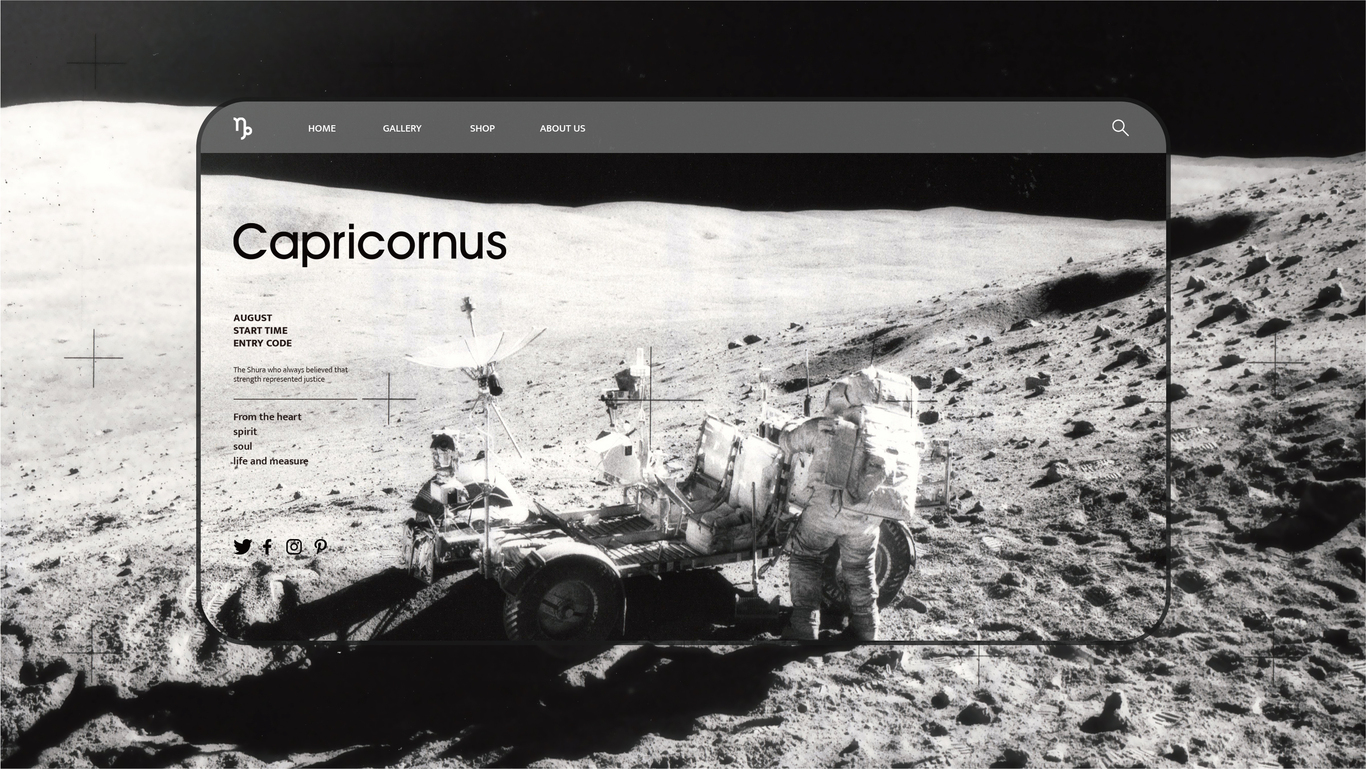 CAPRICORNUS BRAND DESIGN图5