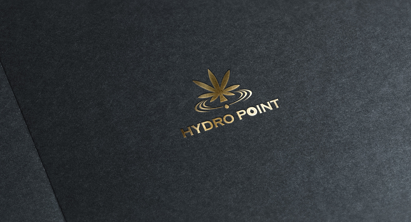 Hydro Point圖8