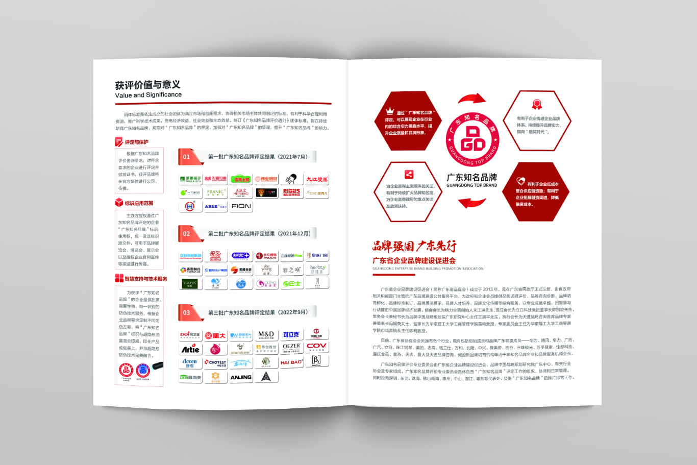 公益組織項目畫冊圖3