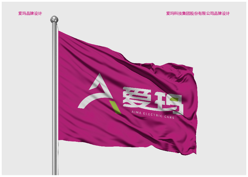 练习-品牌升级-爱玛图67