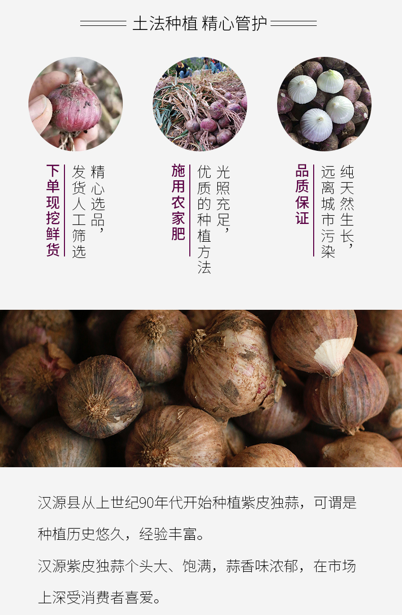 麗源食記食品電商獨(dú)蒜產(chǎn)品詳情頁(yè)設(shè)計(jì)圖2