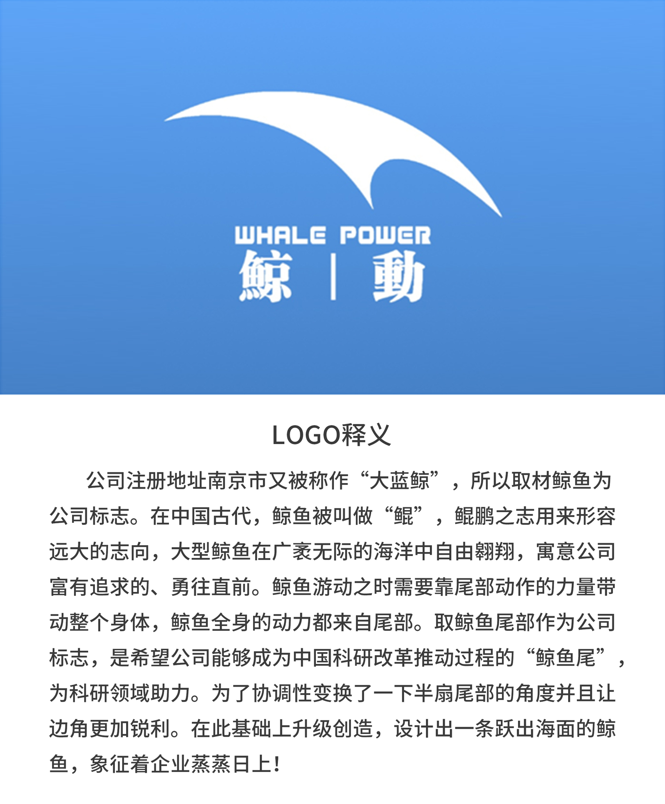 鯨動科技公司logo設(shè)計圖1