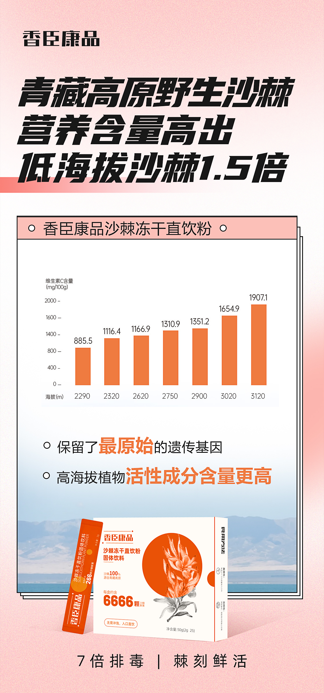 沙棘保健类食品推广图图2