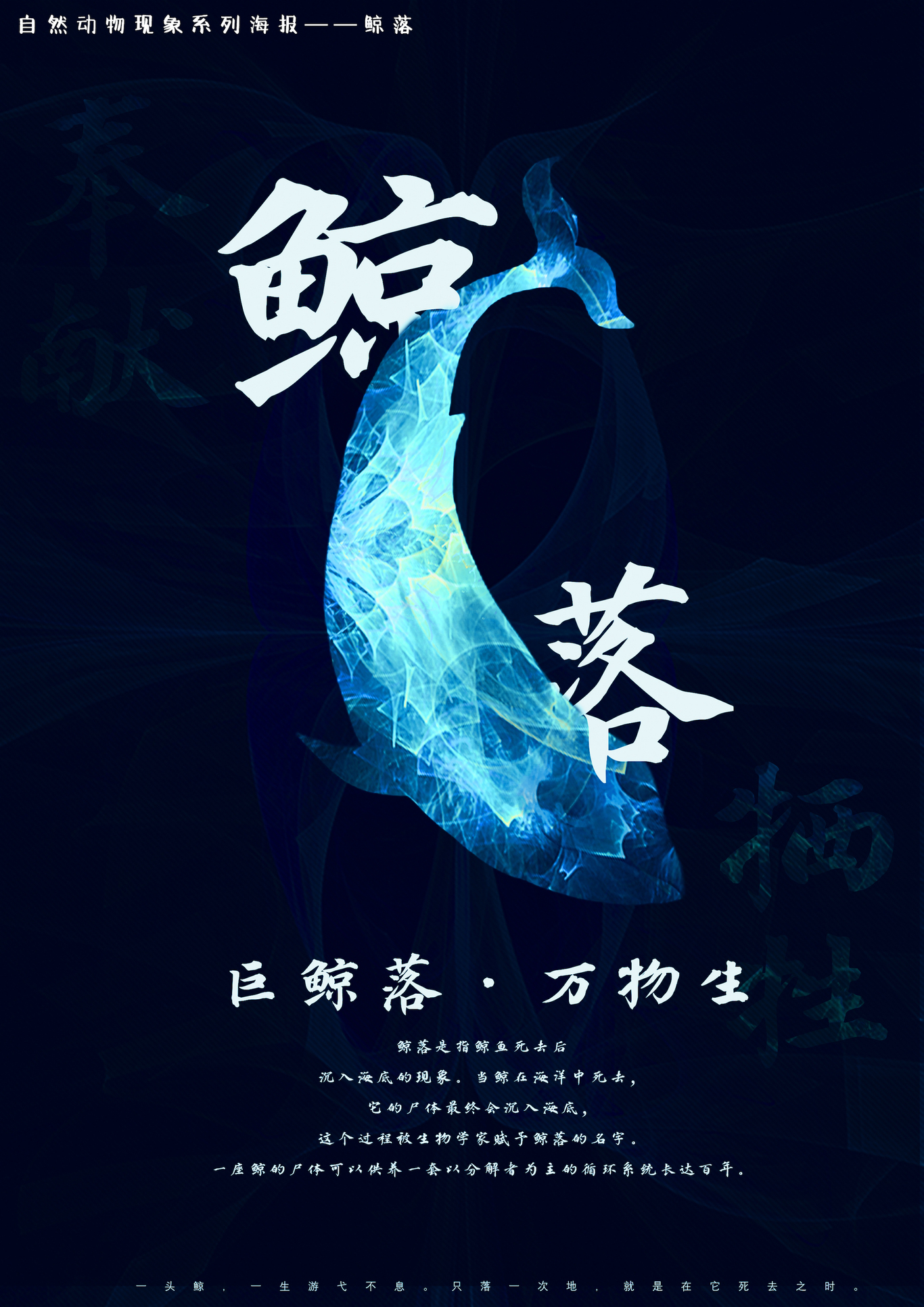 万物有律图0
