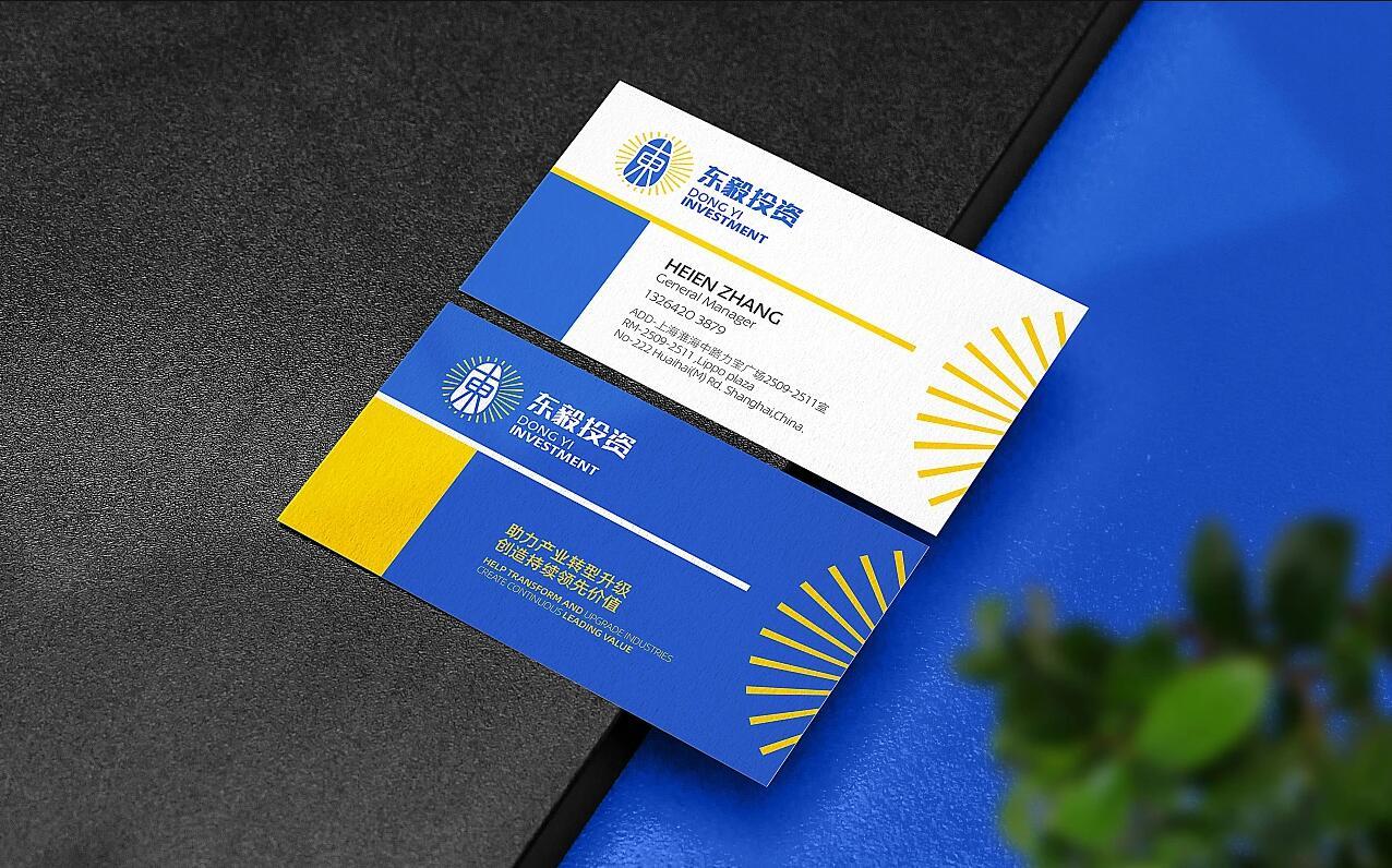 东毅投资图4
