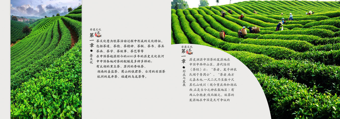 茶文化宣传册图0