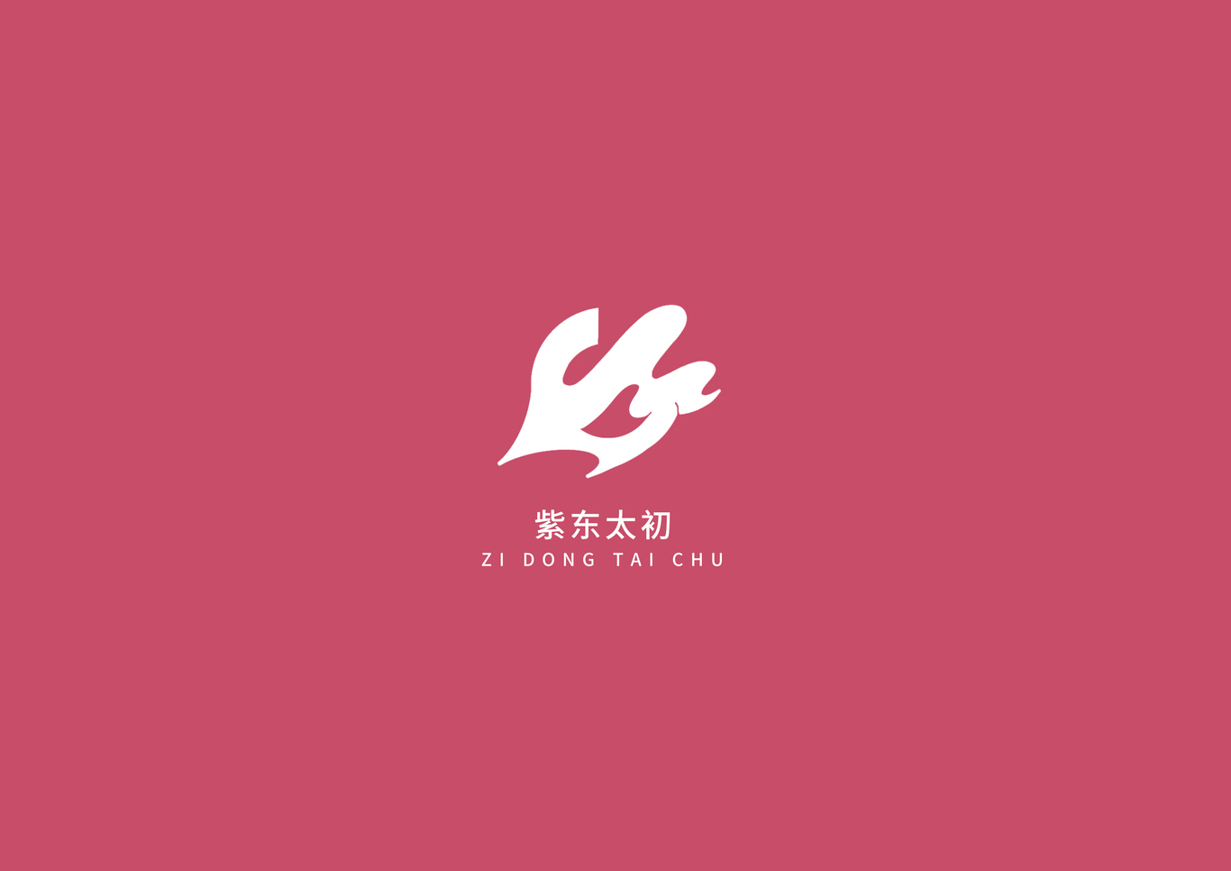 紫东太初logo设计-科技公司图3