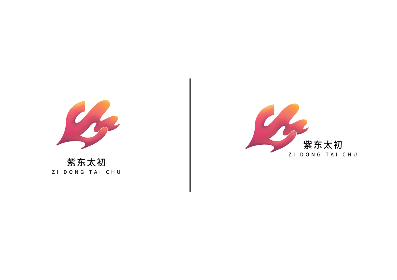 紫東太初logo設計-科技公司圖4