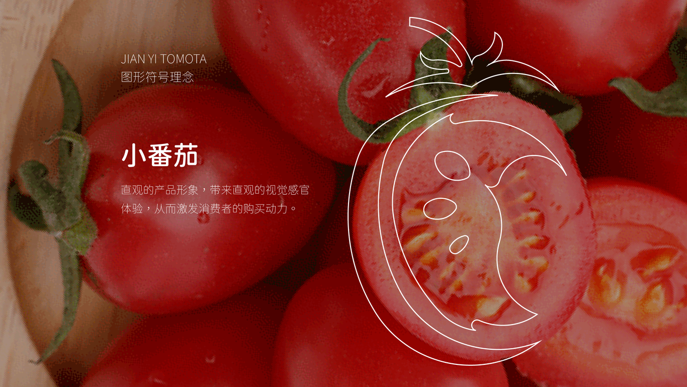 健怡茄·品牌LOGO图1
