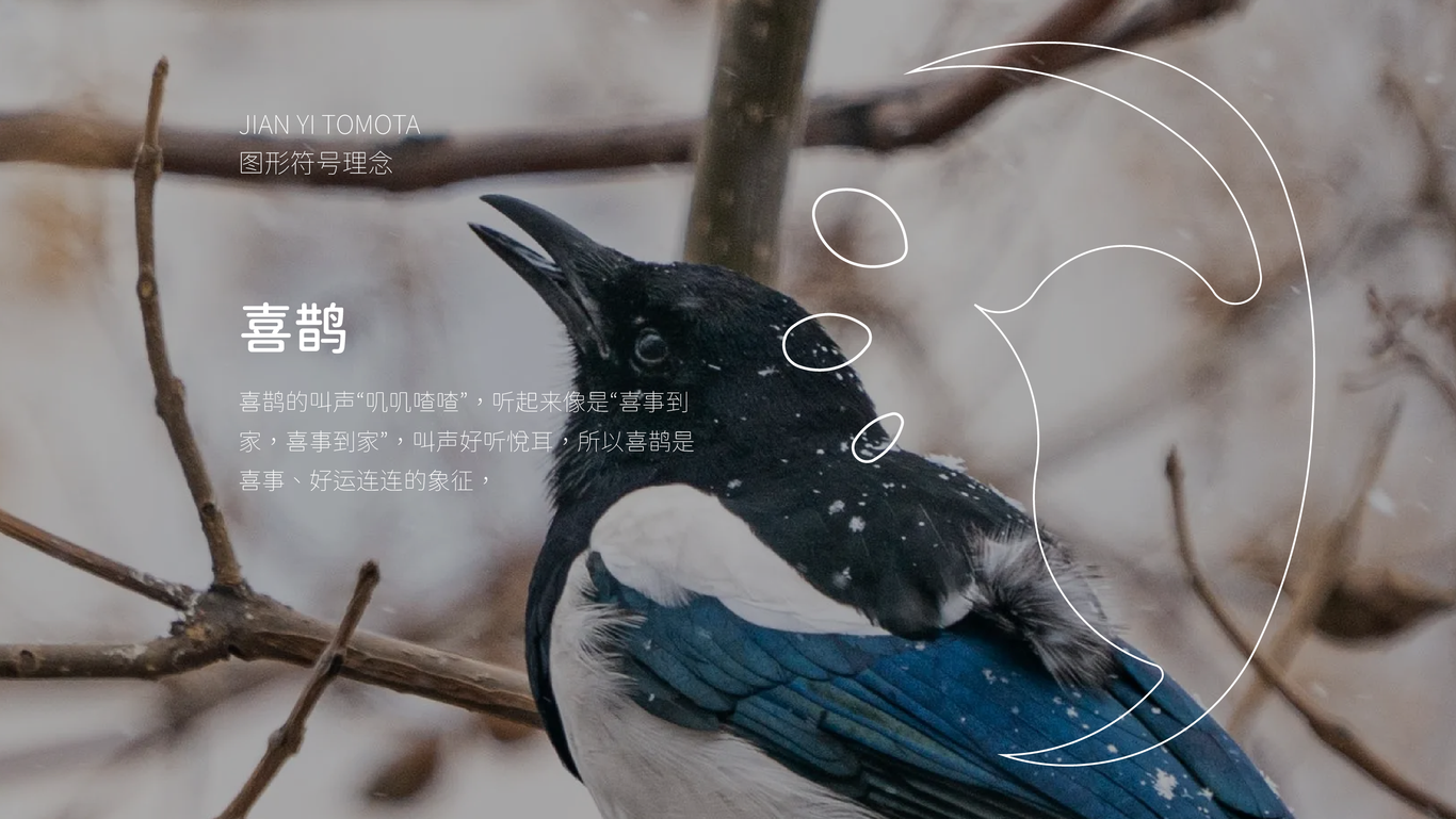 健怡茄·品牌LOGO图2
