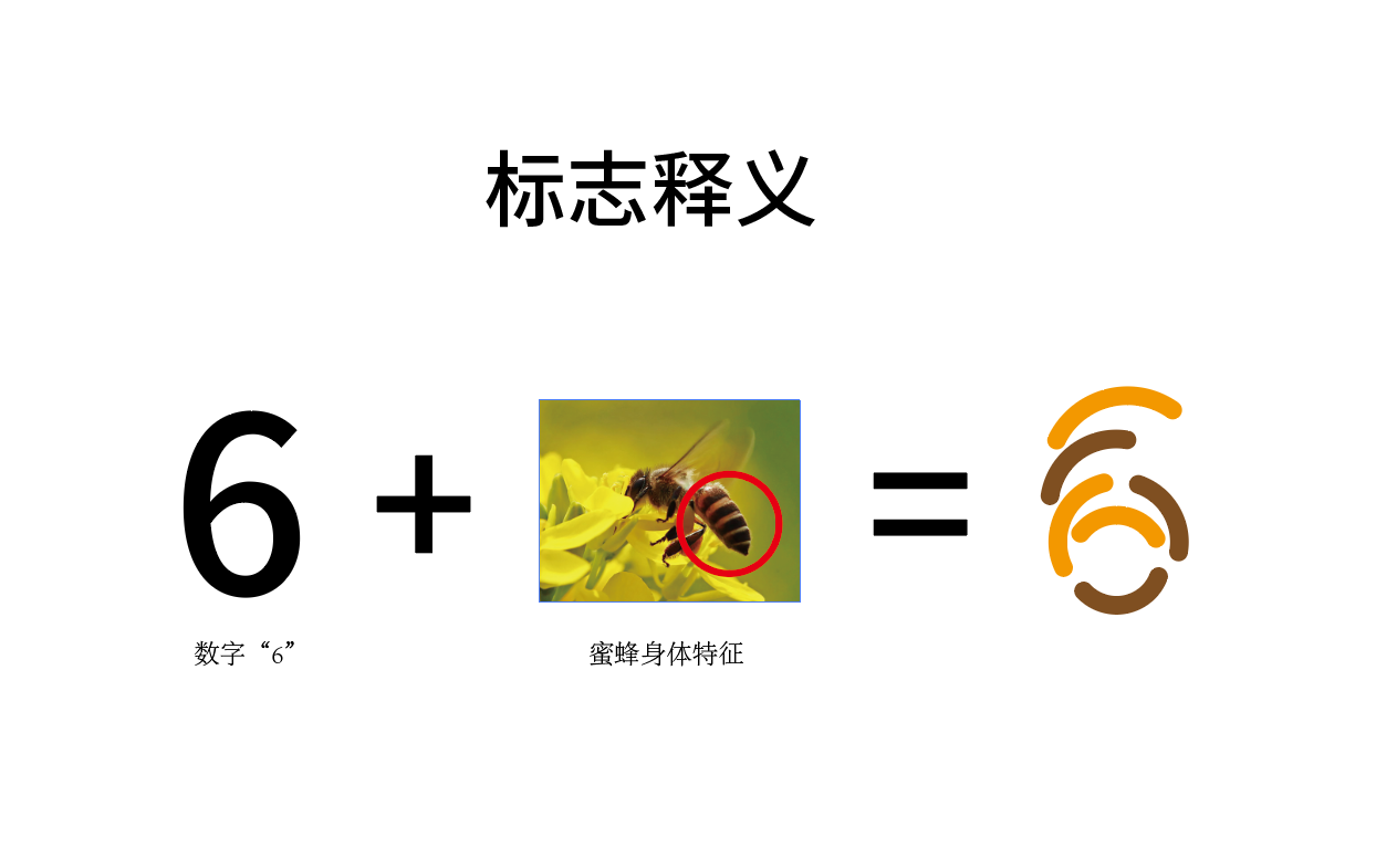 阿6蜂蜜品牌Logo設(shè)計(jì)圖7