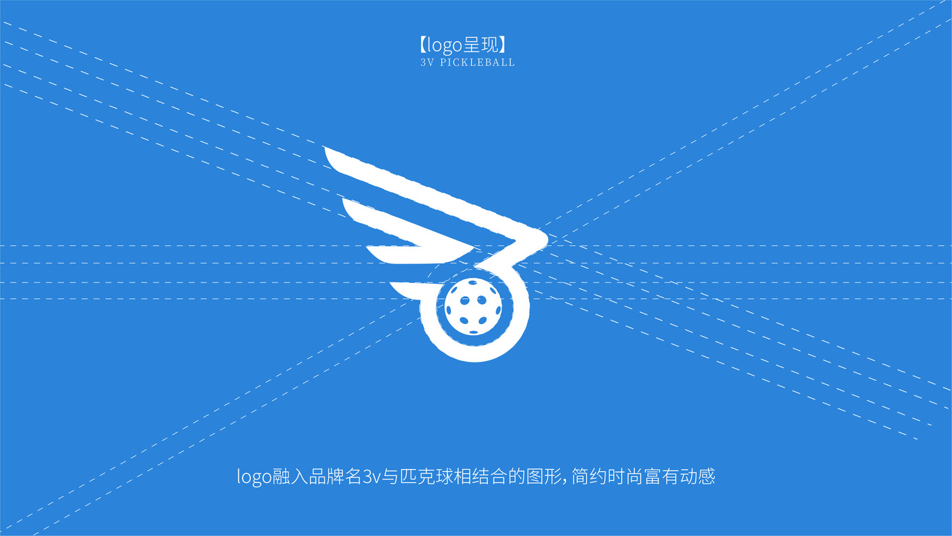 3v匹克球拍图4