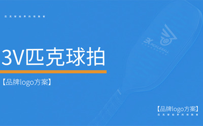 3v匹克球拍