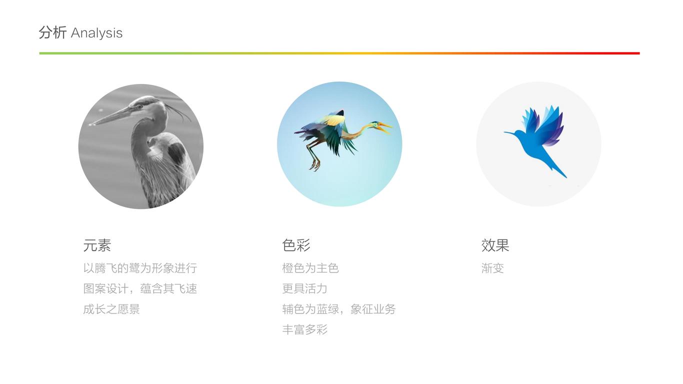 腾鹭文化图2