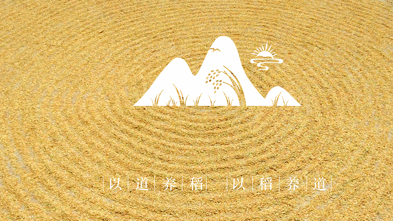 道山论道图0