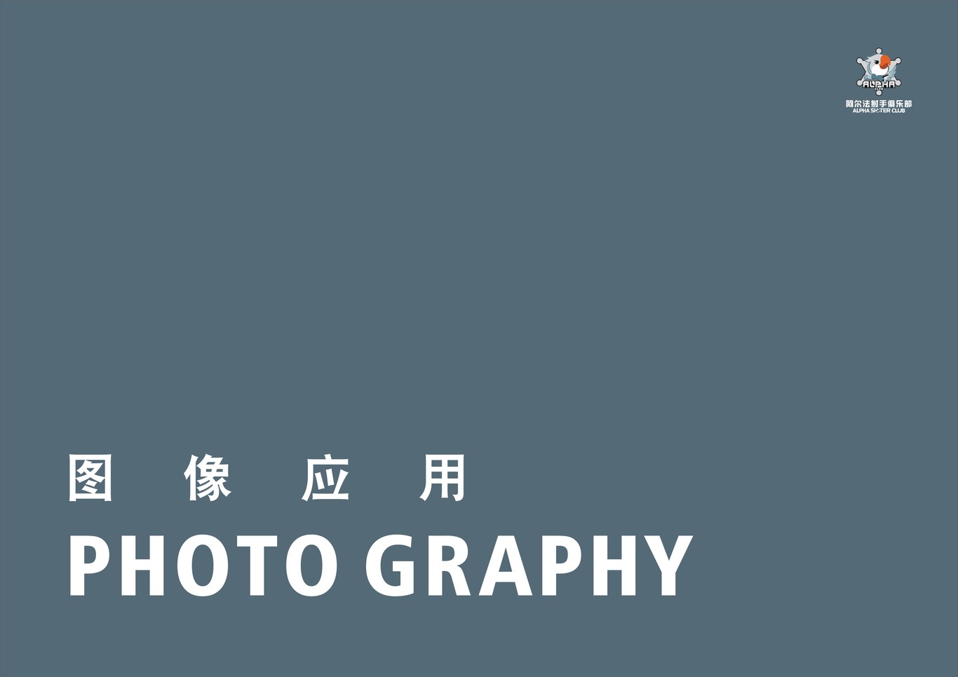 阿尔法射手俱乐部品牌VIS系统图31