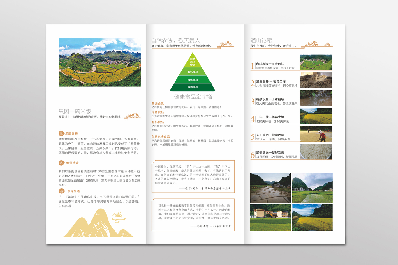 道山论道图11