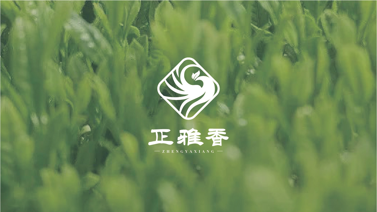 香雅正茶葉logo設(shè)計(jì)圖1