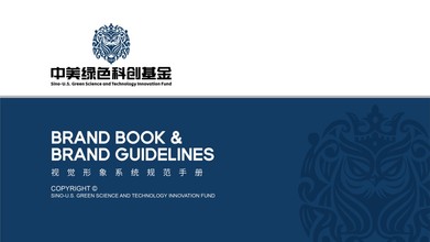 國際基金類企業(yè)vi設(shè)計