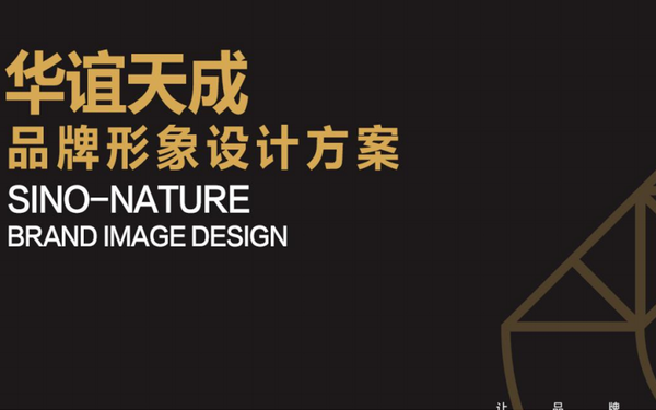 华谊天成VI