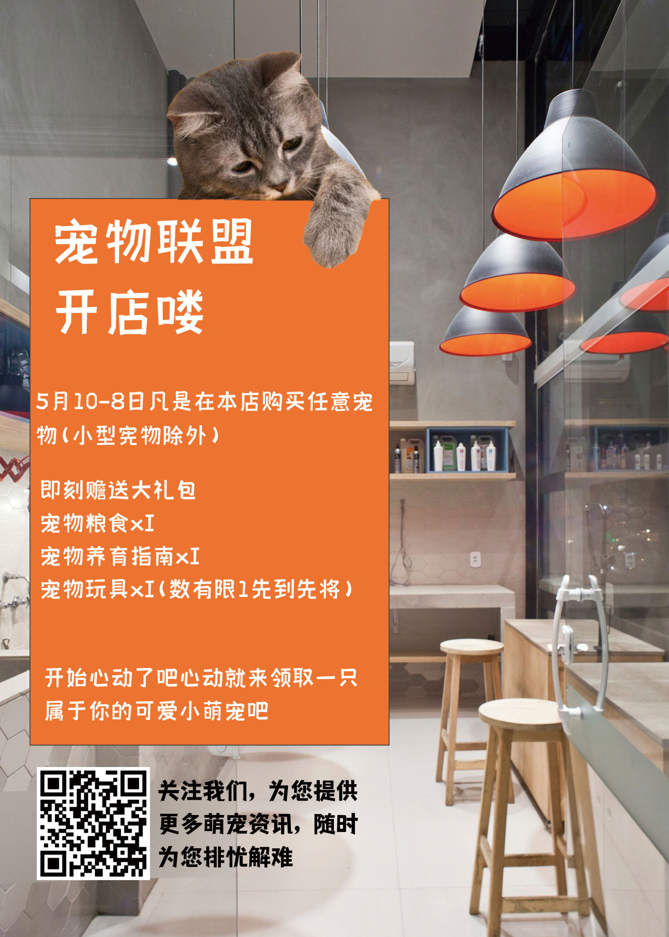 作品集图4