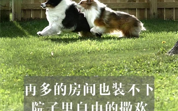 地产推图（部分）