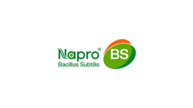 BS生物用益生菌類logo設計