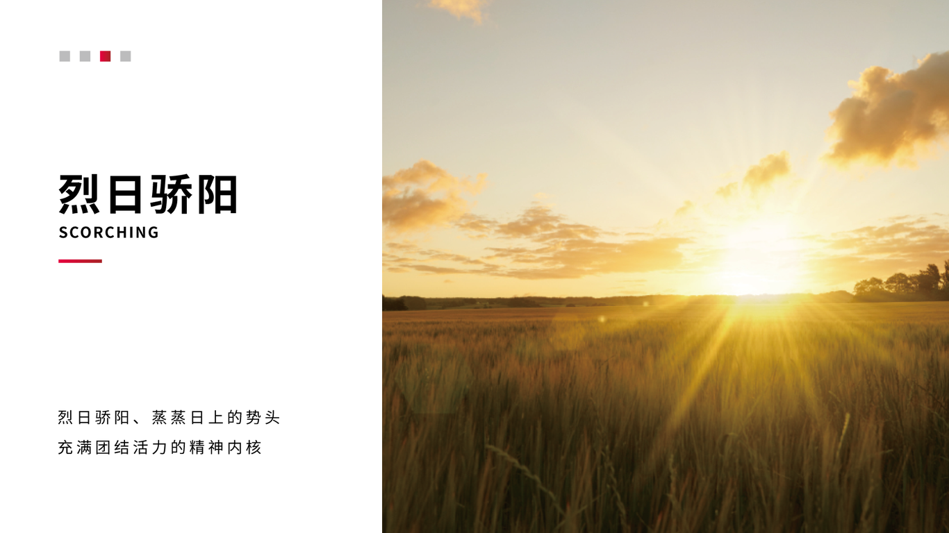 一款建材類logo設(shè)計(jì)中標(biāo)圖2