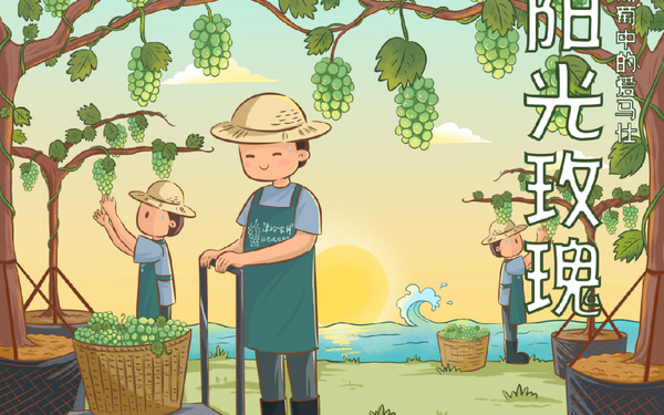 陽光玫瑰包裝盒插畫設計