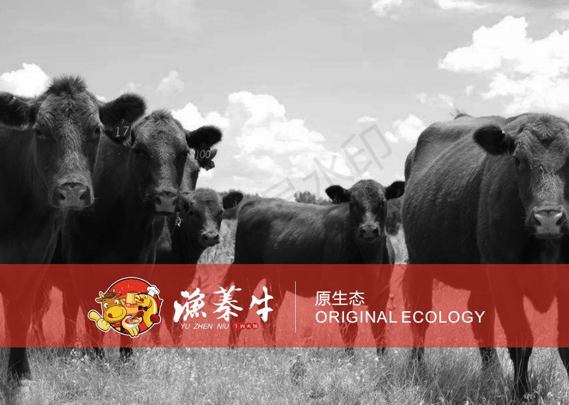 渔蓁牛品牌策划设计图2