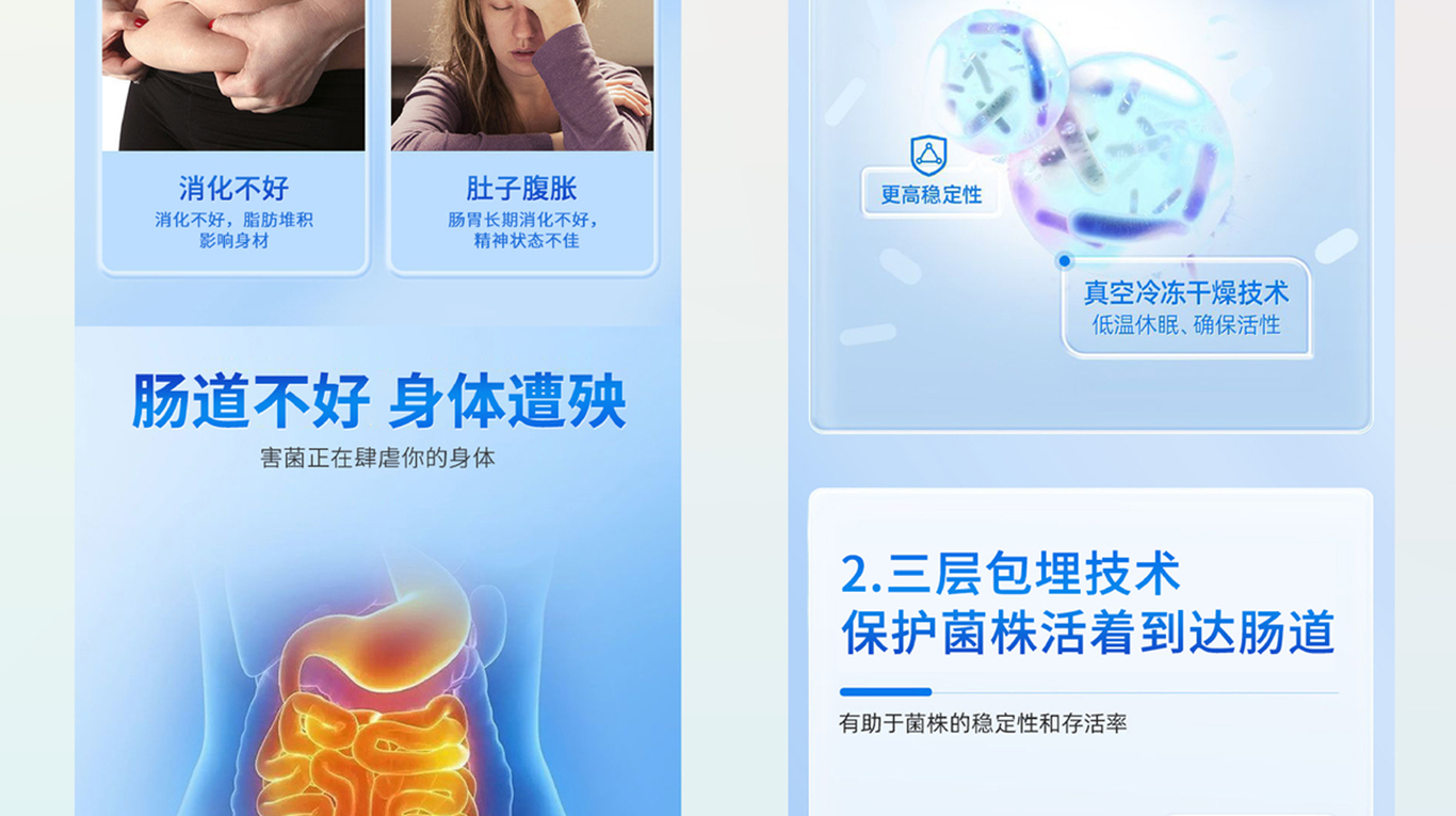 个人作品集图13